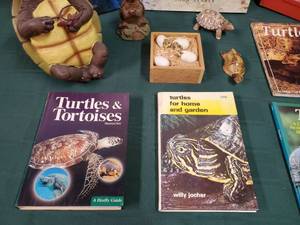 lot 255 image: Turtle Book Lot
