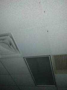 Ceiling Grid, lighting and duct dispensers.