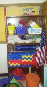 Bookshelf and Contents