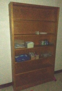 Bookcase with Contents