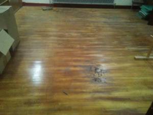 Hardwood Floors Baseboard, electrical and lighting.