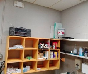 Wood Shelving and all supplies.