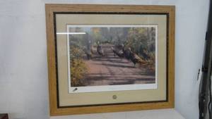 Framed Print