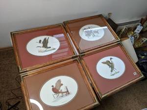 lot 145 image: 4 Framed Louis Raymer Bird Prints