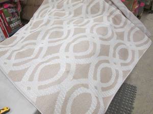 Nourison Aruba Collection 5x7 Area ...