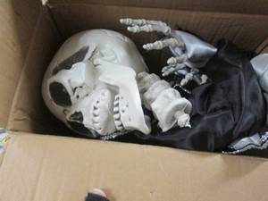 Lifesize Skeleton Animated open box...
