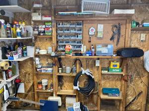 lot 225 image: Entire Contents of Shelves