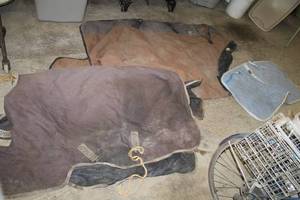 lot 35 image: Lot of (3) Horse Blankets