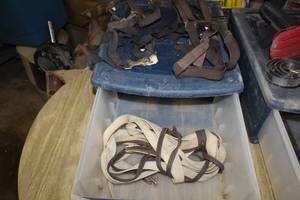 lot 39 image: Horse Lunging Gear