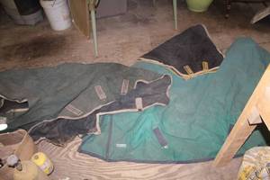 lot 43 image: Lot of (3) Horse Tack and Gear - Horse Blankets (x2), Horse Saddle Blankets (x1)