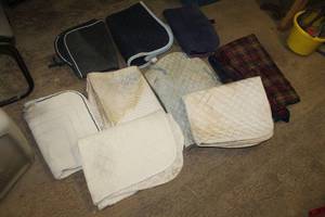 lot 54 image: Lot of (9) Horse PadsBlankets
