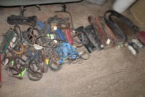 lot 52 image: Horse Girth Belts, Protective Boots, Horse Bridals, Horse Halters