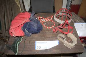 lot 53 image: Lot of (8) Horse Tack - Rope, Muzzle Cage, Nylon Harness, Padded Harness, and more