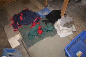 lot 50 image: Horse Tack and Gear - Horse Pads Size Small (x3), Cooler, Horse Blanket, Horse Wraps (x3), Misc. (x2)