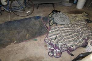 lot 56 image: Lot of (6) Horse Tack and Gear - Horse Pads (x3), Horse Blankets (x3)