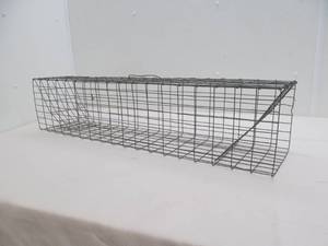 live trap
