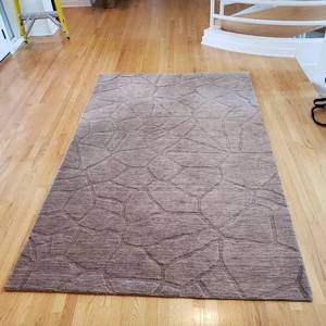Neutral Brown Area Rug