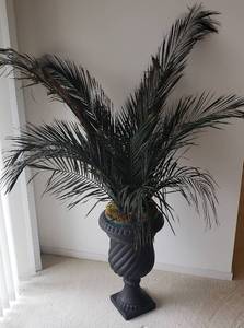 Hip Tall Resin Planter and Silk