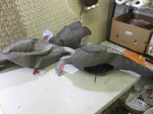 lot 144 image: 3 Turkey Decoys  EW3...