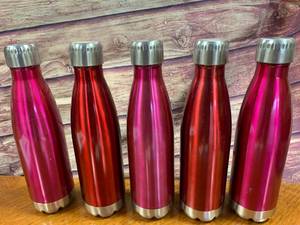 Lot of 5 New Buffalo Insulated Water Bottles ($12.99 Retail Each)