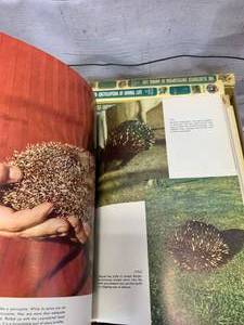 1952 Encyclopedia of Animal Life