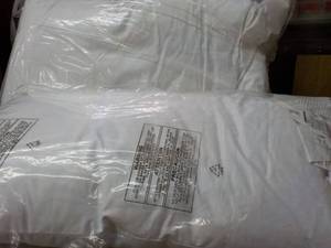 set of 2 pillows Williams Sonoma Ho...