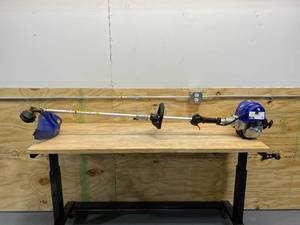 BADGER 31 cc Gas 4-Cycle 2-in-1 Straight Shaft Grass Hand Held Trimmer