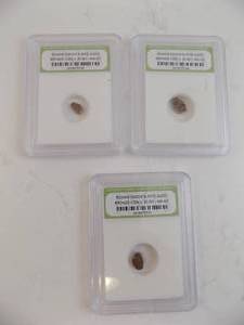 lot 142 image: 3-Roman Widows Mite Sized Bronze Coin C.50BC-400AD International Numismatic Bureau