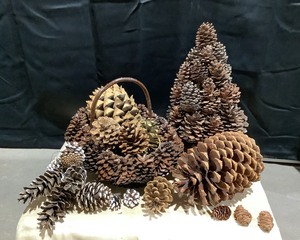 lot 2001 image: Pine Cone Decor