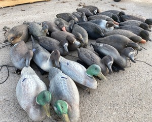 lot 136 image: Duck Decoys