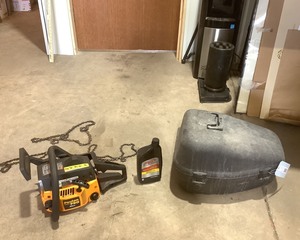 lot 174 image: Poulan Pro Chainsaw
