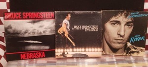 Bruce Springsteen Vinyl Collection