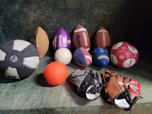 Tote of Sports Balls