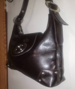 Gucci Expresso Brown Shoulder Bag