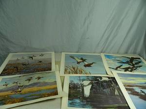 Richard Bishop Prints