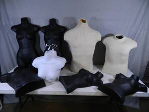 Assorted Display Mannequin Torsos
