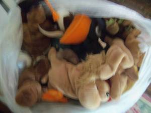lot 127 image: Bag of 15 Assorted Beanie Babies...