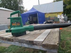 lot 161 image: Barracuda Leaf Blower WORKS...