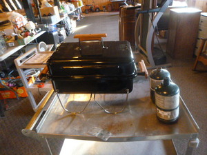 lot 31 image: Weber Gas Go-Anywhere Grill