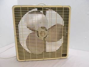Carry fan