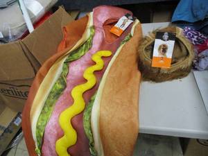 Lion Dog and Hot Dog Costume...