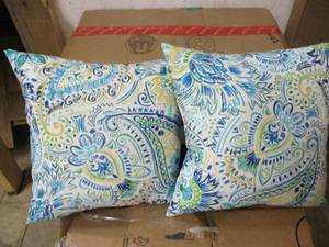 2 Decorative Pillows...