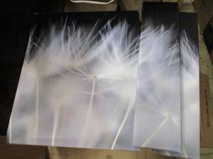 3 Piece Canvas Print Set (24 x 20) ...
