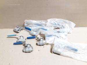 lot 253 image: (10)  316 Stainless Steel CF8M 38 Ball Valves