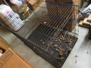 Large Metal Folding Pet Kennel 42 ...