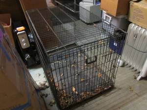 Large Metal Folding Pet Kennel 42 ...