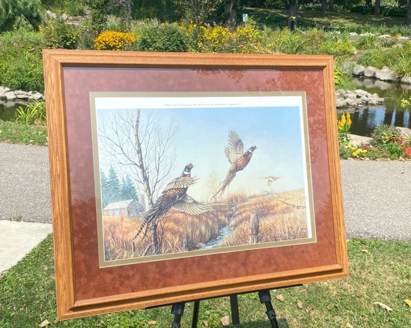 lot 27A image: AUTUMN FLUSH pheasants framed print
