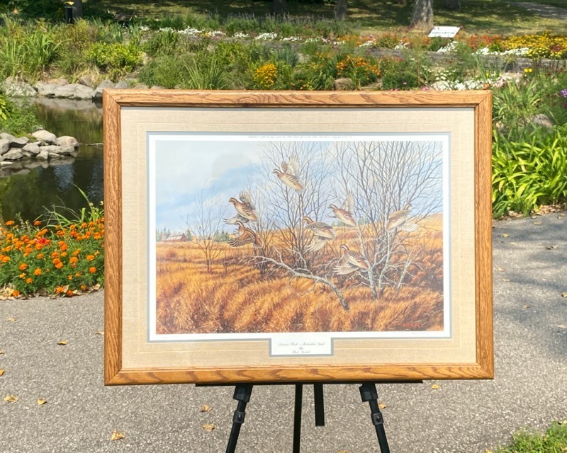lot 28A image: AUTUMN FLUSH - BOBWHITE QUAIL by Rick Morkel Signed Limited Edition