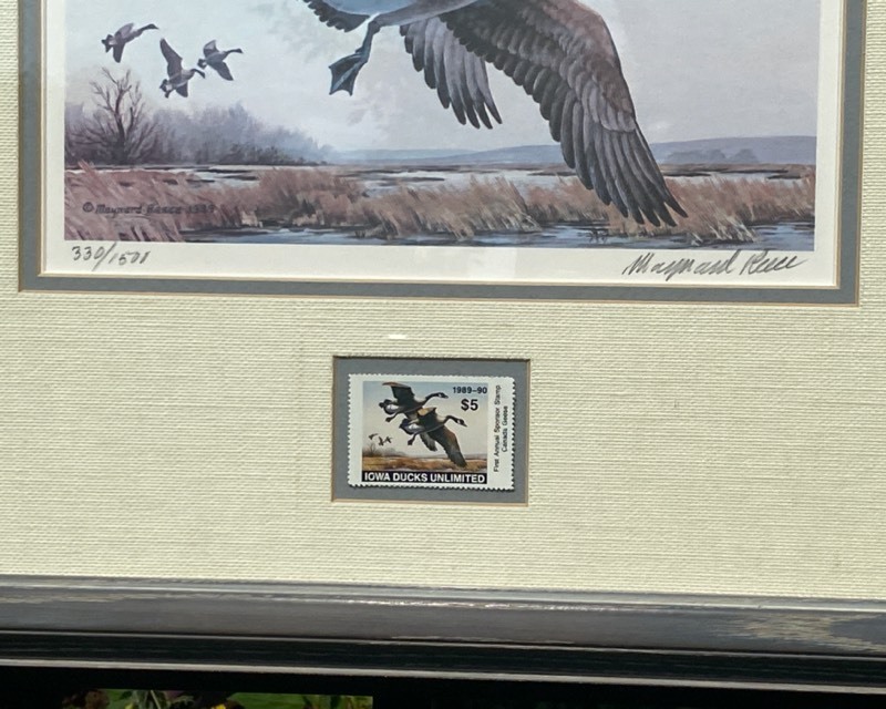lot 25A image: Maynard Reece Ducks Unlimited Print