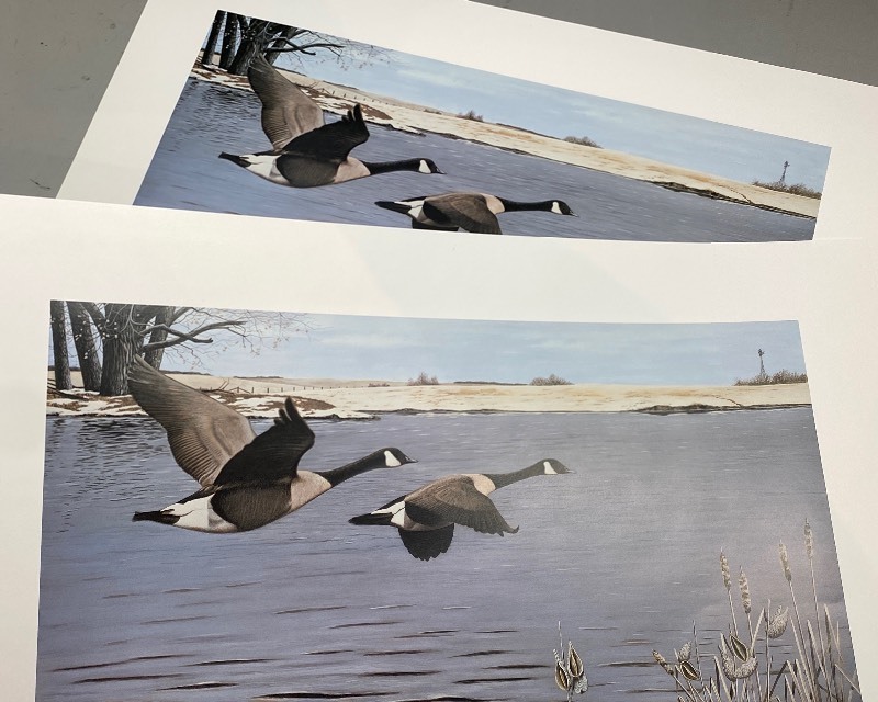lot 24A image: ON THEIR WAY a pair of identical full-size wildlife prints